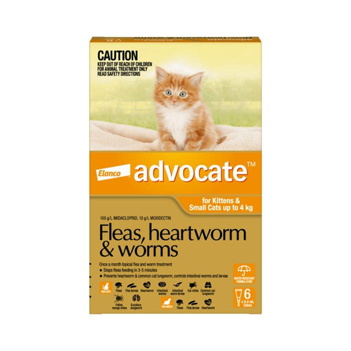 Advocate Orange For Small Cat - 0-4kg (6 Pack) - petpawz.com.au