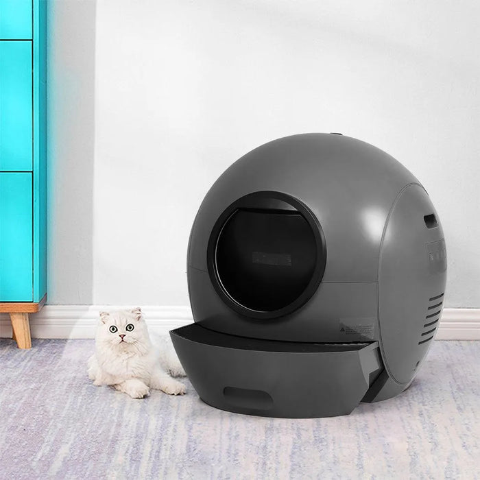 PaWz auto clean kitty litter box
