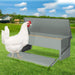 Automatic Chicken Feeder (10kg) - petpawz.com.au