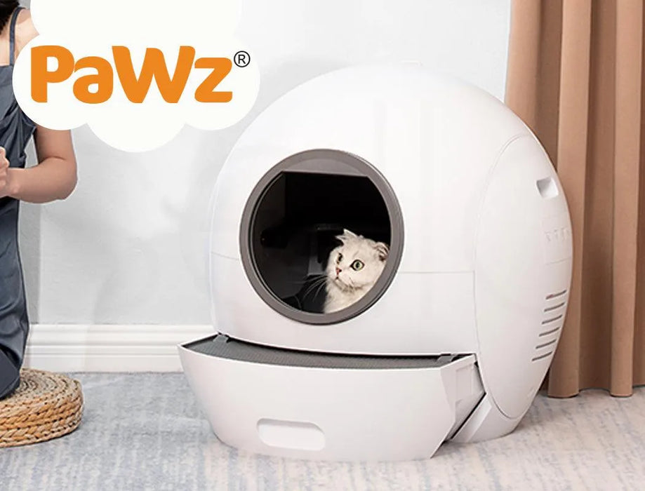 cat inside of auto clean kitty litter box