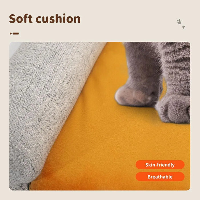 cat feet on the sofa bed for pets​