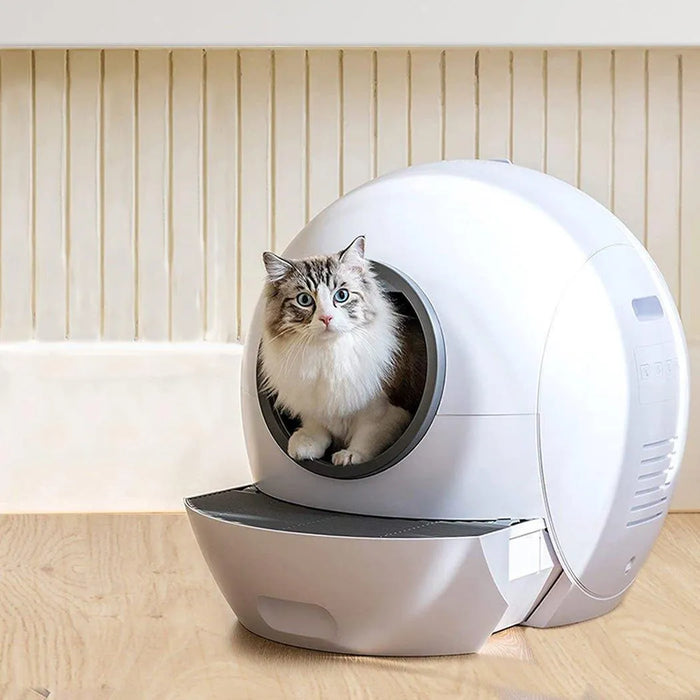 cat in  PaWz Automatic Smart Cat Litter Box Self-Cleaning