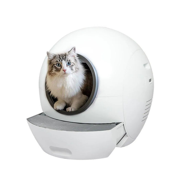 cat inside the PaWz Automatic Smart Cat Litter Box 