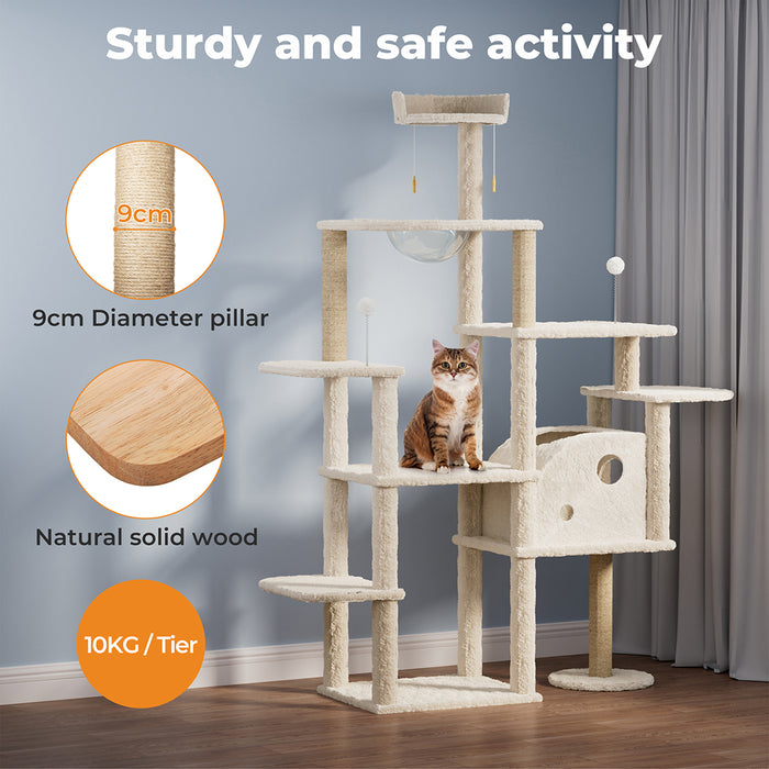 cat on Indoor cat playground