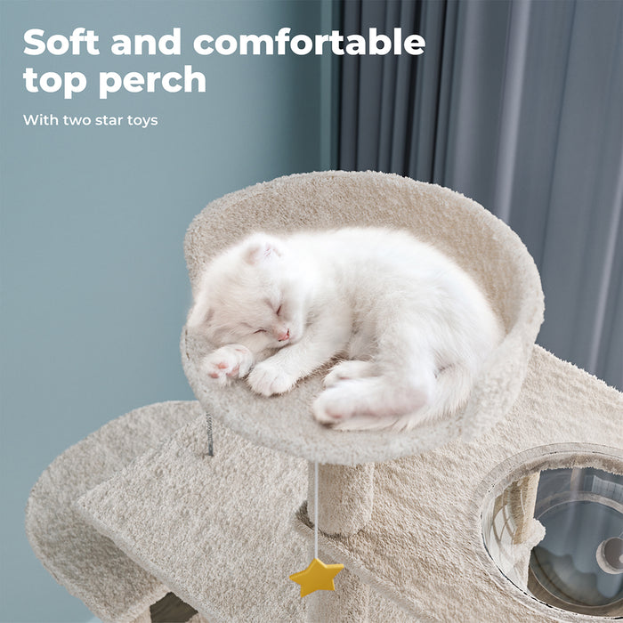 cat resting on top perch of Cat climbing tree
