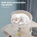 cat resting on top perch of Cat climbing tree