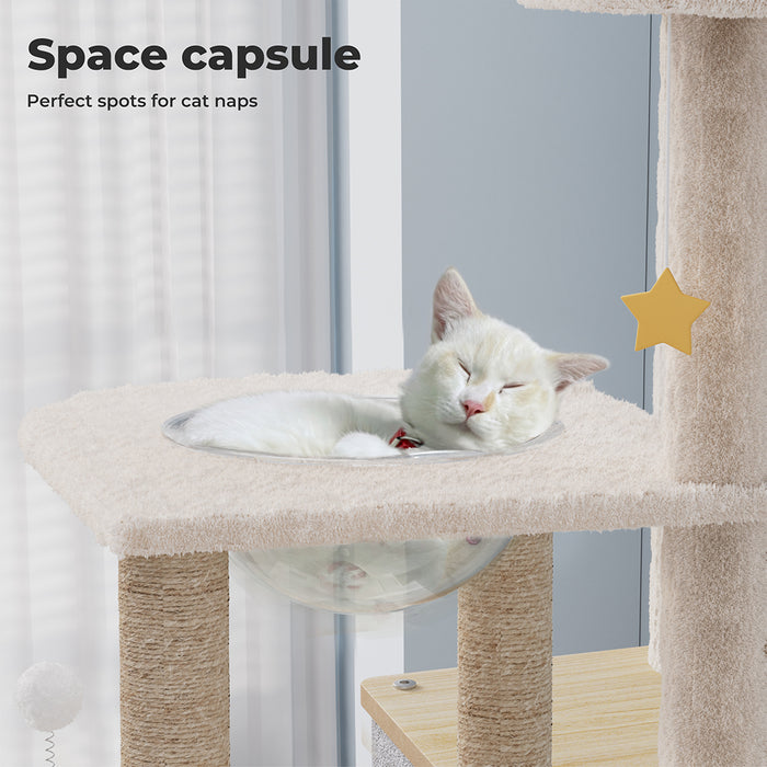 cat resting on space capsule Cat climbing tree