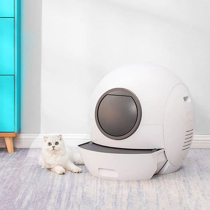 cat sitting beside the PaWz Automatic Smart Cat Litter Box 