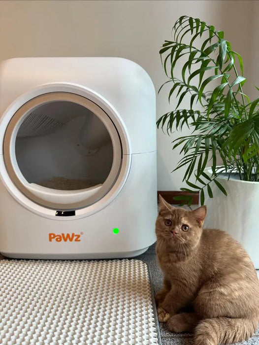 cat sitting near to kitty litter automatic