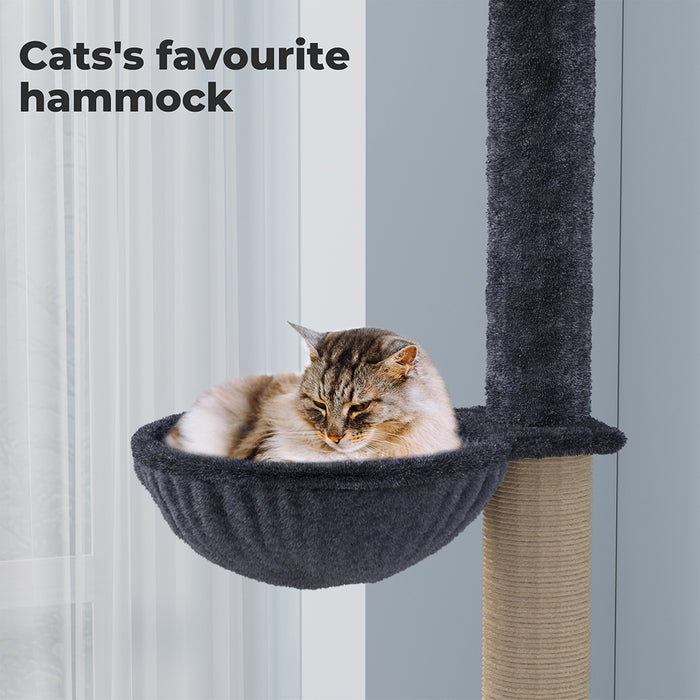 cat_sitting_on_hammock_of_multi-level_cat_tree