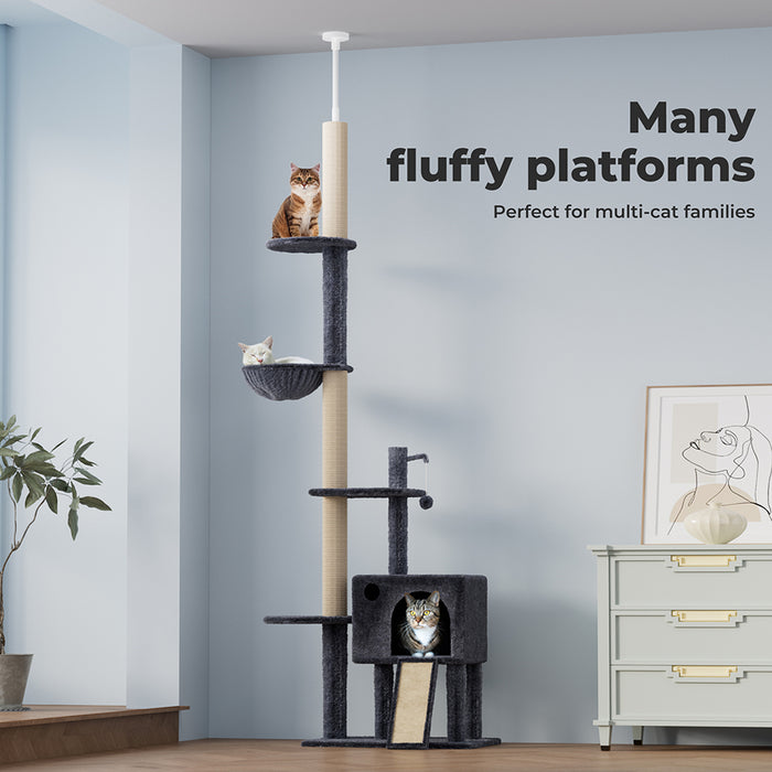 cat sitting on platform of multi-level cat tree 