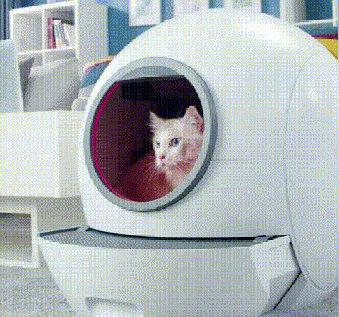 cat walking out from-automatic-smart-cat-litter-box
