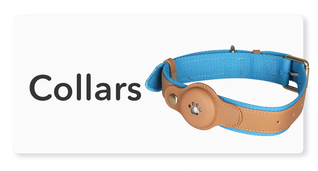 Dog Collars, Harnesses & Leads - petpawz.com.au