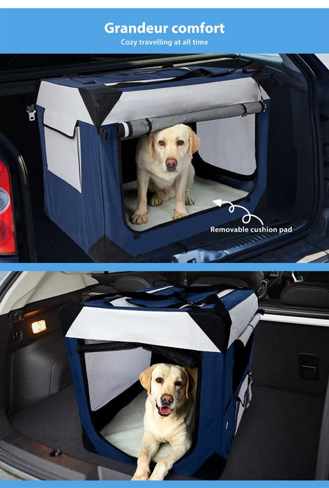 dog in the pawz pet carrier in car boot