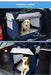 dog in the pawz pet carrier in car boot
