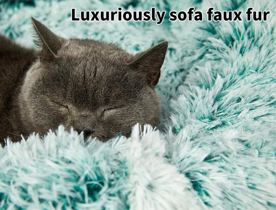 dog on PaWz Large Fluffy Cat Bed 