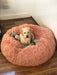 Pawz Non-Removable Calming Pet Bed