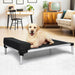 dog on the metal frame pet bed​