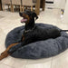 Pawz Non-Removable Calming Pet Bed