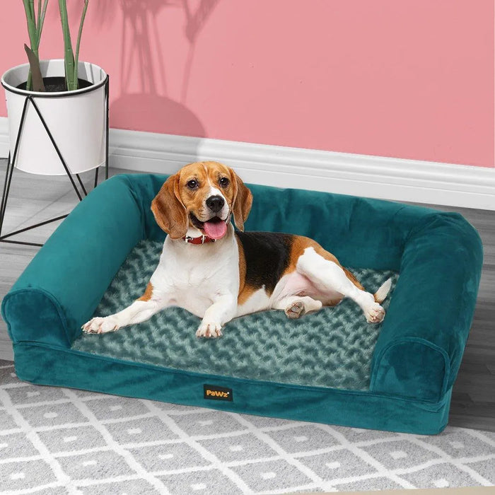 dog relaxing on PaWz Premium pet Sofa Bed