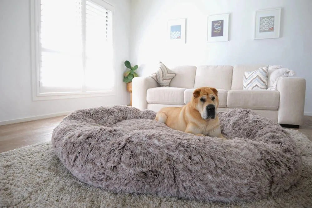 dog relaxing on The Human Size Nap Bed