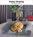 dog sleeping on PaWz Premium pet Sofa Bed