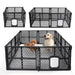 dogs in the playpen 