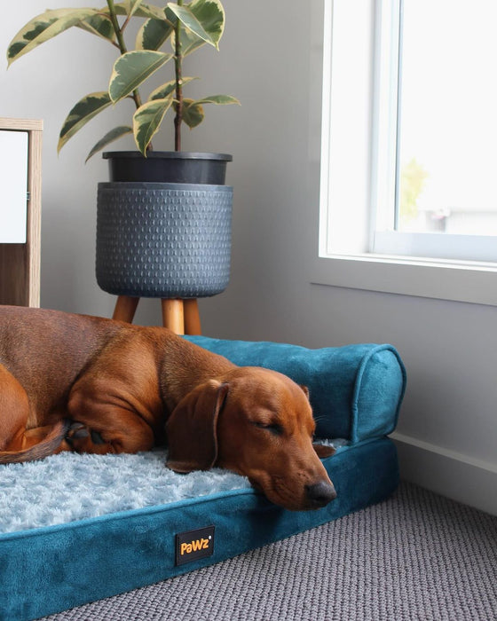 PaWz Premium Pet Sofa Bed