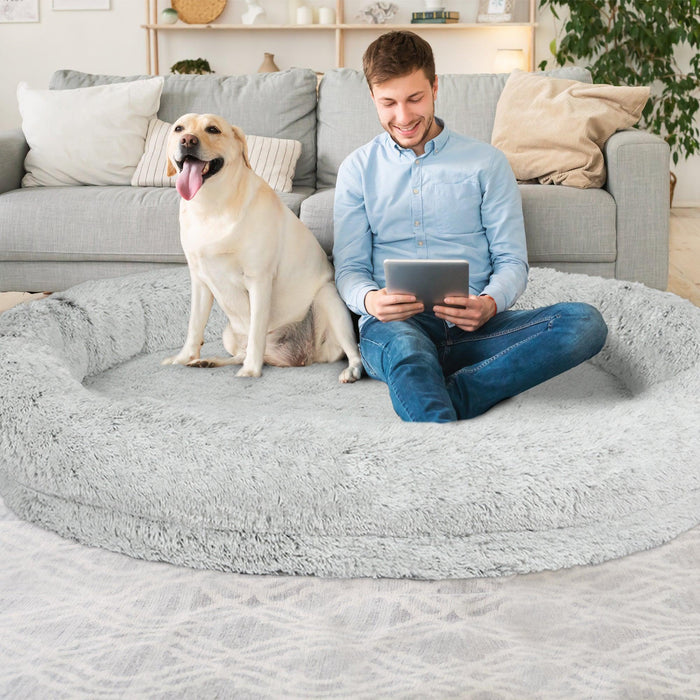 PaWz Premium Human Size Nap Bed - Memory Foam - petpawz.com.au