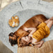 kid with dog on the human-size-nap-bed