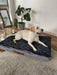 Large Dog relaxing on the Pawz Dog Memory Foam Mattress 