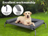 large dog sitting on the elevated dog beds