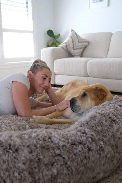 owner with dog on  The Human Size Nap Bed