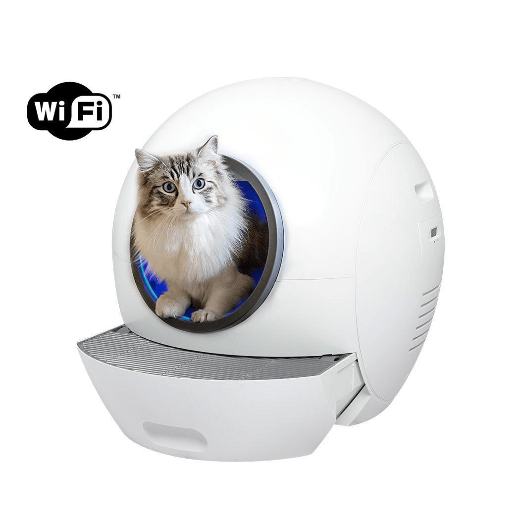 Automatic cat shop litter box australia