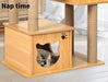 PaWz Cat Tree Scratching Post with Cat Face House - petpawz.com.au