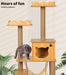 PaWz Cat Tree Scratching Post With Hammock - petpawz.com.au