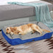 PaWz Dog Bed - petpawz.com.au