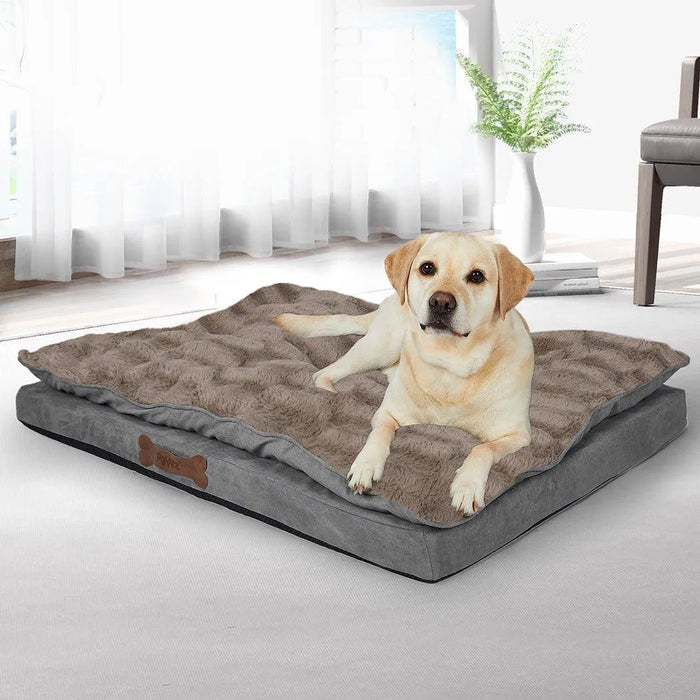 Pawz Dog Memory Foam Mattress indoor 