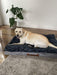 Pawz Dog Memory Foam Mattress - petpawz.com.au