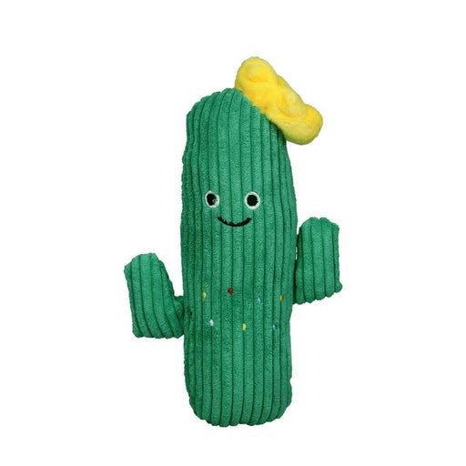 PaWz Green Cactus - petpawz.com.au