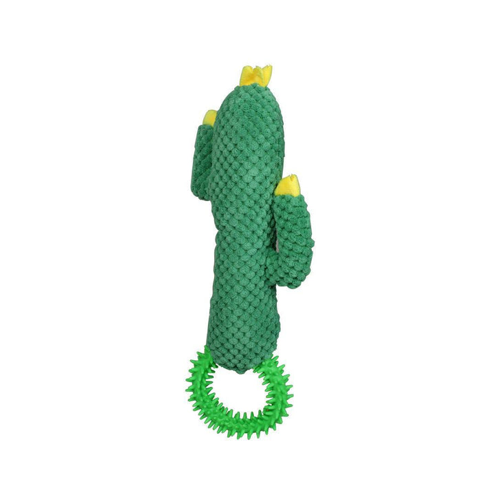 PaWz Green Ring Cactus - petpawz.com.au