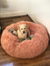 Pawz Non-Removable Calming Pet Bed - petpawz.com.au