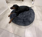 Pawz Non-Removable Calming Pet Bed 