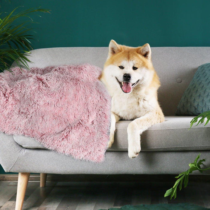 PaWz Pet Calming Blanket - petpawz.com.au