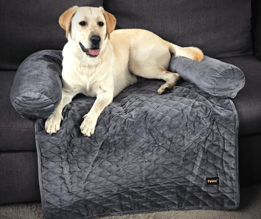 PaWz Pet Couch Cover - petpawz.com.au