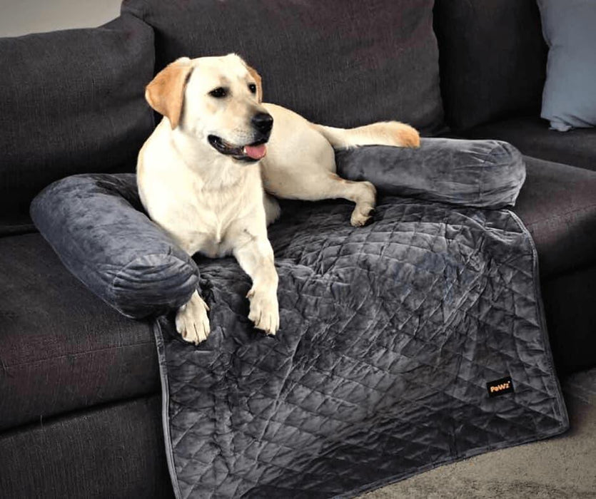 PaWz Pet Couch Cover - petpawz.com.au