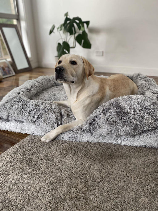 PaWz Premium Pet Orthopaedic Bed - petpawz.com.au