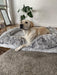 PaWz Premium Pet Orthopaedic Bed - petpawz.com.au