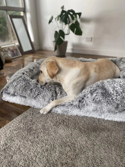 PaWz Premium Pet Orthopaedic Bed 
