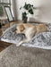 PaWz Premium Pet Orthopaedic Bed 